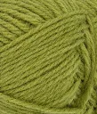 21149564_Matcha_300dpi_Close-up.webp